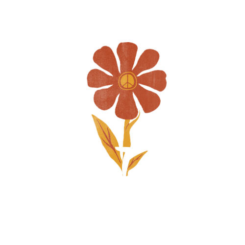 Dash Theory 